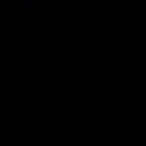 Meet your Posher, Reannon